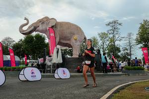 BIB: 
                            <button type="button" onclick="openModal(26528898)" class="btn btn-primary btn-sm float-right btn-popup" data-toggle="modal" data-target=".modal-high-quality">
                        <i class="fas fa-shopping-cart"></i> Add to Cart
                    </button>
                                            <button type="button" onclick="isThisMe(26528898, true)" class="btn btn-success btn-sm float-right btn-popup btn-isme hidden" data-toggle="tooltip" data-placement="bottom" title="นี่คือรูปของคุณใช่ไหม คลิกที่นี่เพื่อเอาเข้าอัลบั้ม">
                        <i class="fas fa-plus"></i> Add to album
                    </button>
                    <button type="button" onclick="isThisMe(26528898, false)" class="btn btn-warning btn-sm float-right btn-popup btn-isnotme hidden">
                        <i class="fas fa-ban"></i> Remove from album
                    </button>